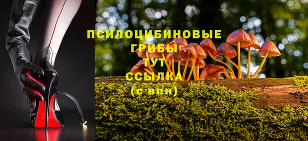 молекула духа Алексеевка