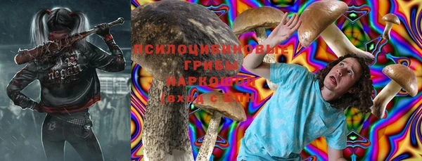 молекула духа Алексеевка